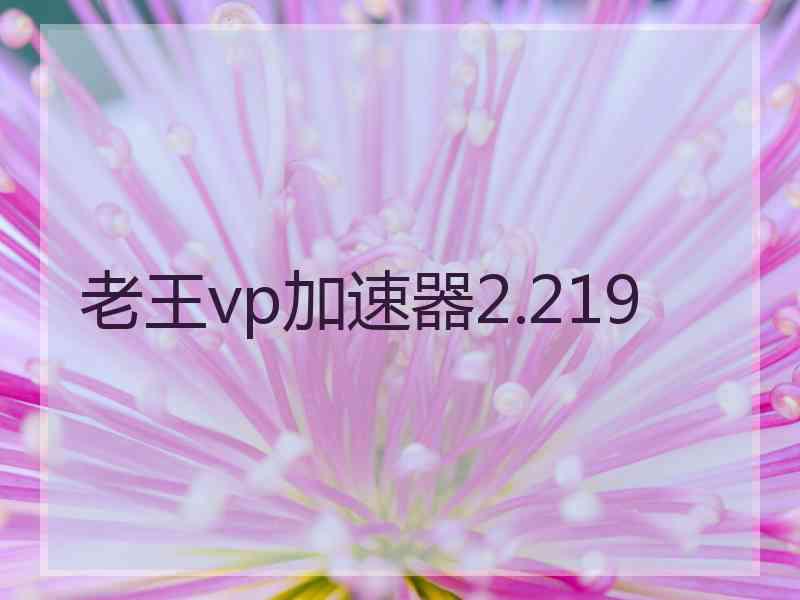 老王vp加速器2.219