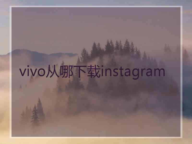 vivo从哪下载instagram