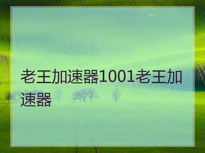 老王加速器1001老王加速器