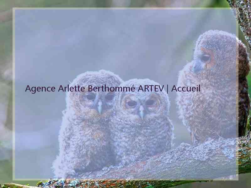 Agence Arlette Berthommé ARTEV | Accueil