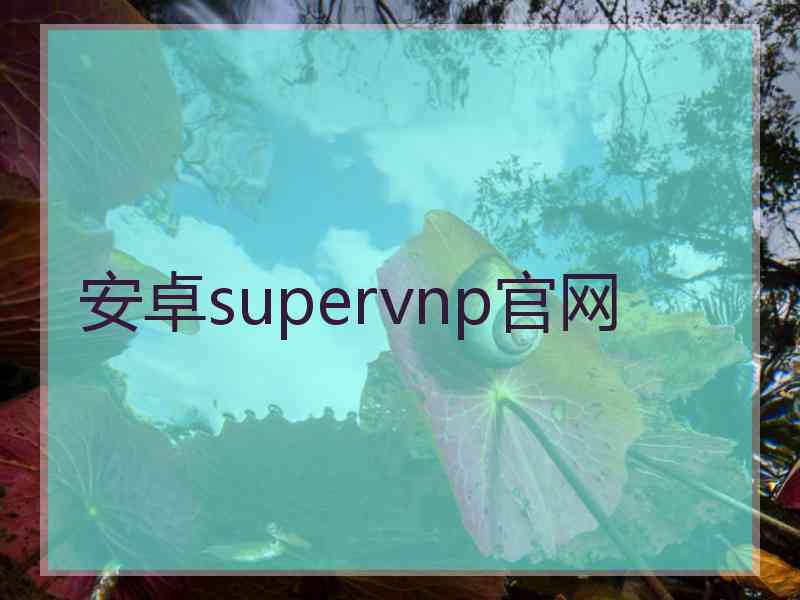 安卓supervnp官网