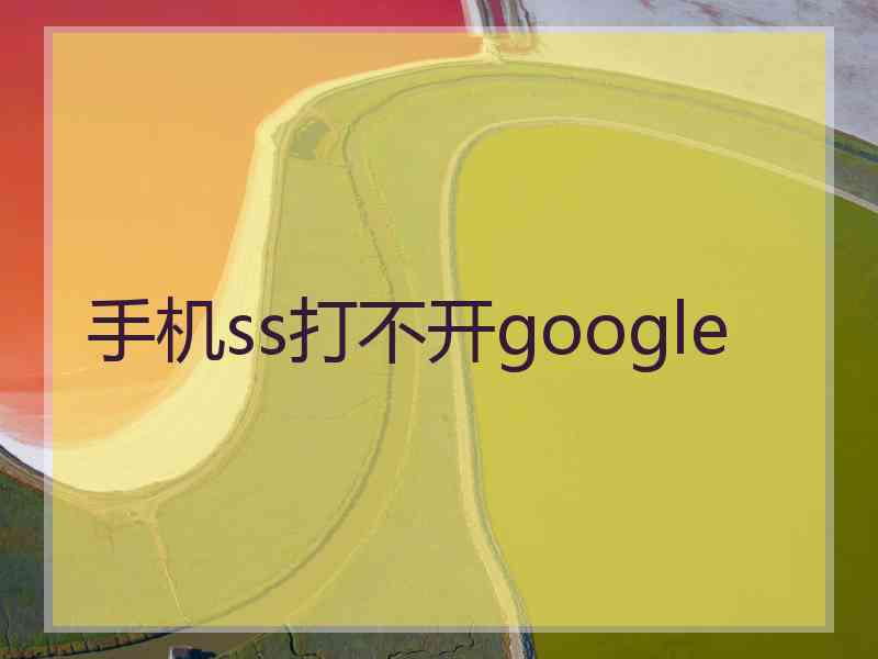 手机ss打不开google