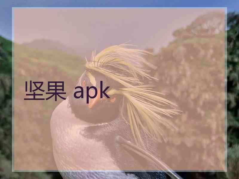 坚果 apk