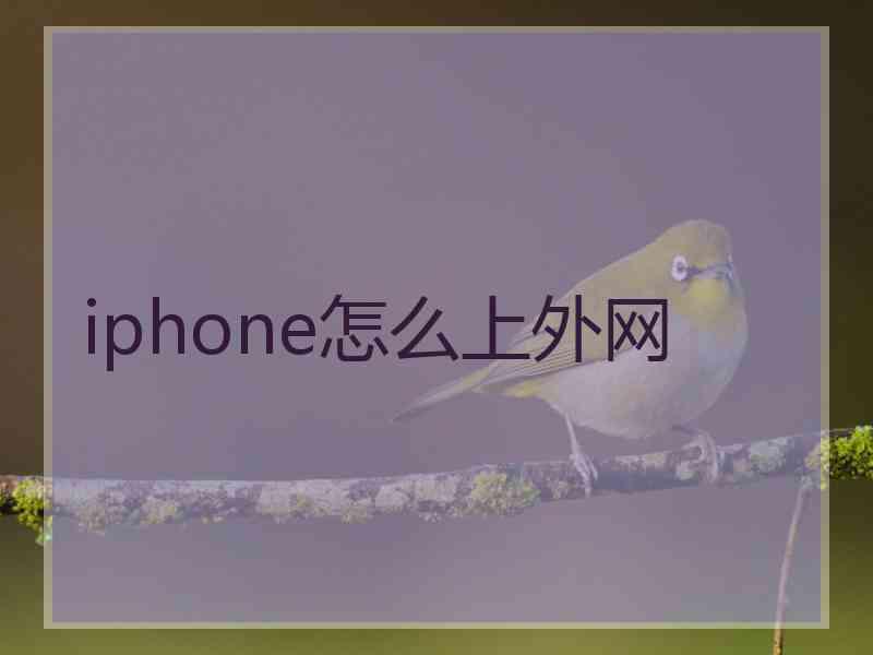 iphone怎么上外网