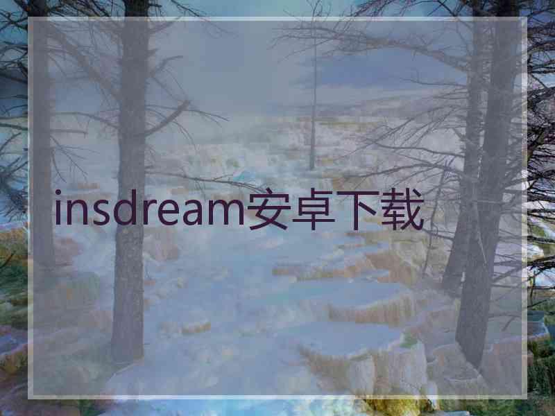 insdream安卓下载