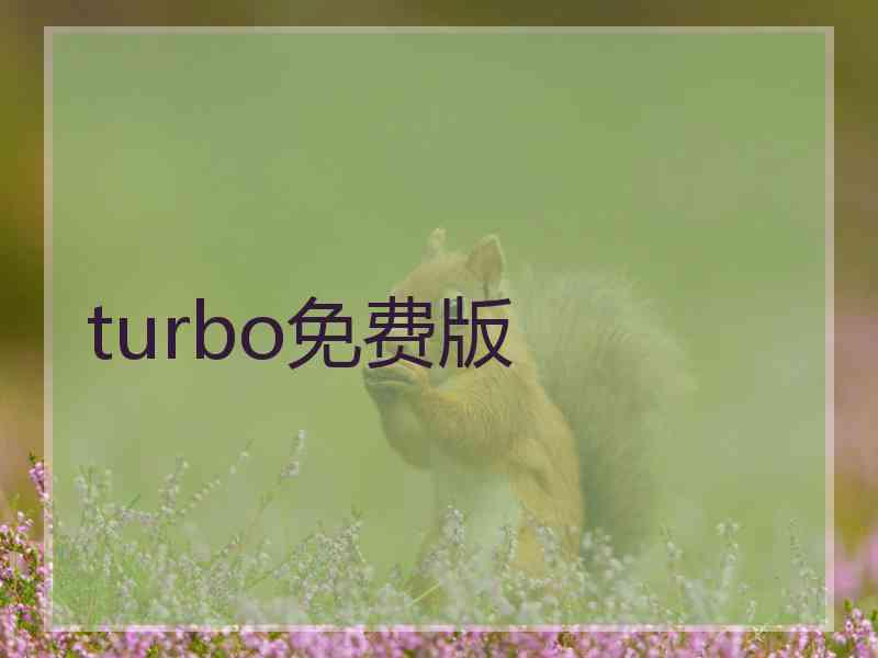 turbo免费版