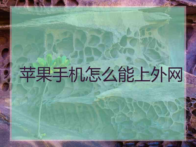 苹果手机怎么能上外网