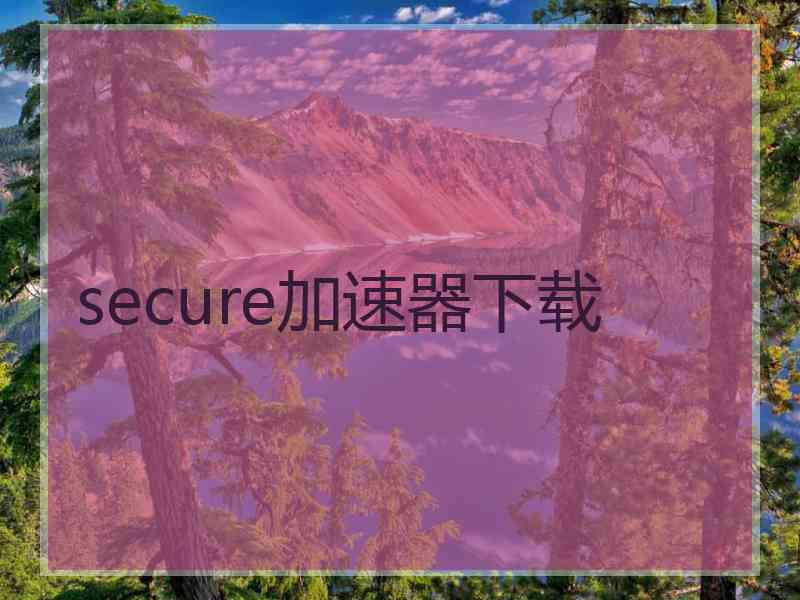 secure加速器下载