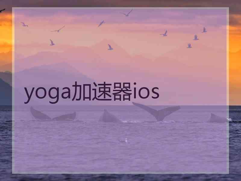 yoga加速器ios