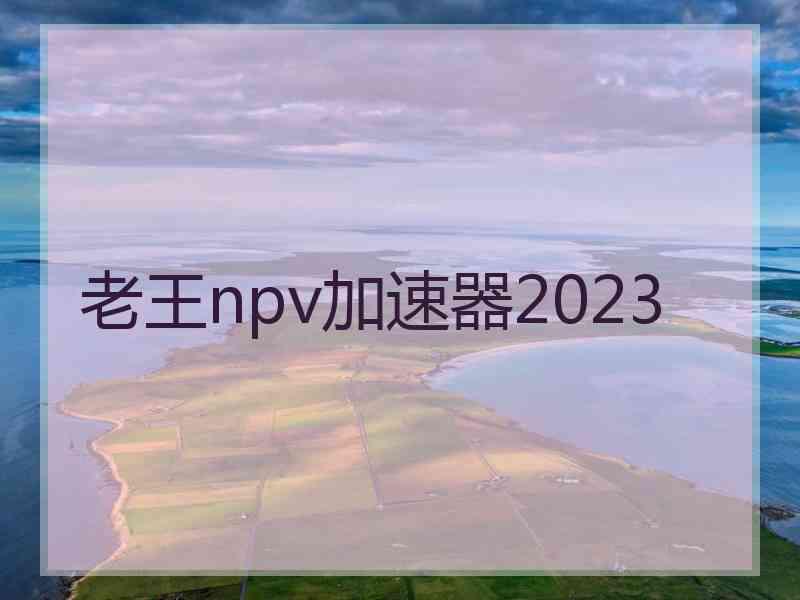 老王npv加速器2023