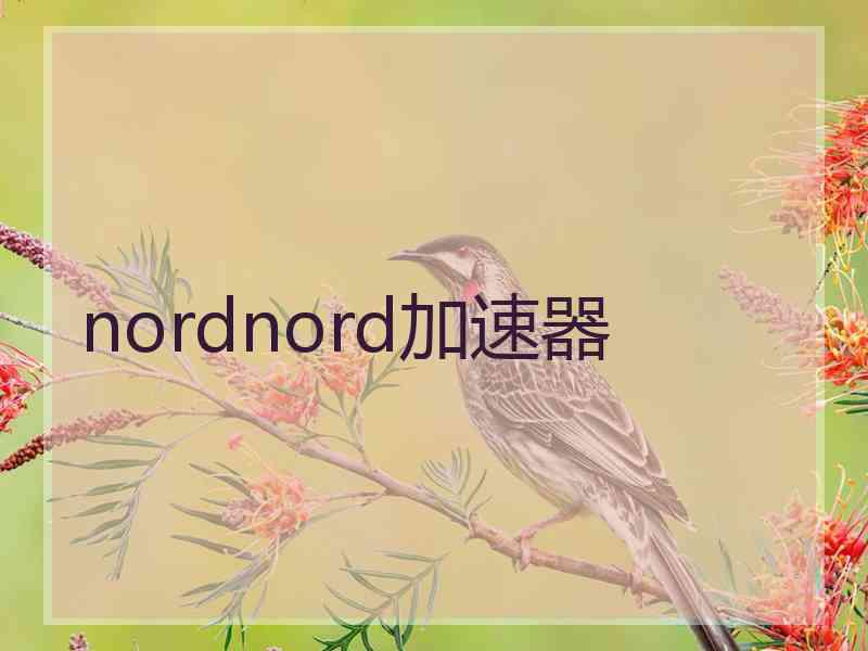 nordnord加速器