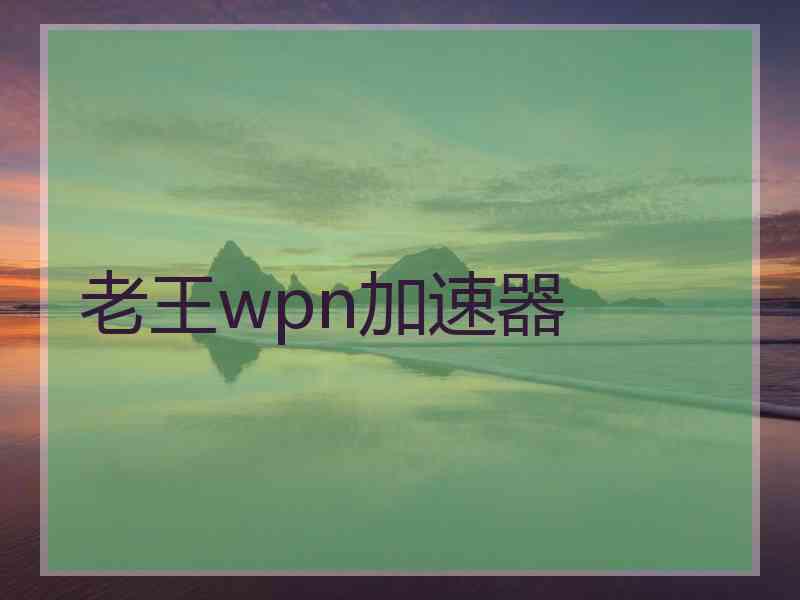 老王wpn加速器