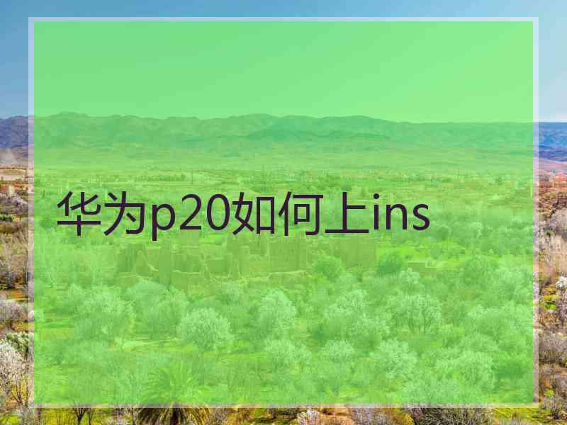 华为p20如何上ins