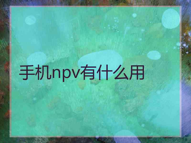 手机npv有什么用