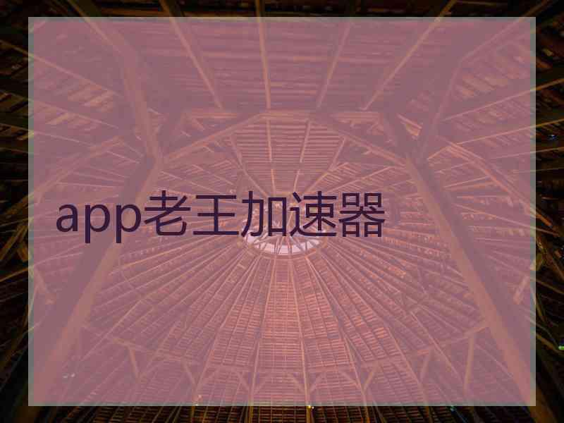 app老王加速器