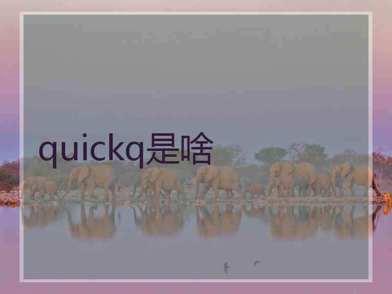 quickq是啥