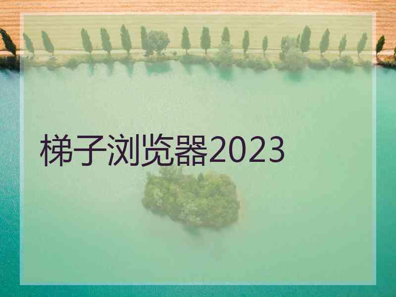 梯子浏览器2023