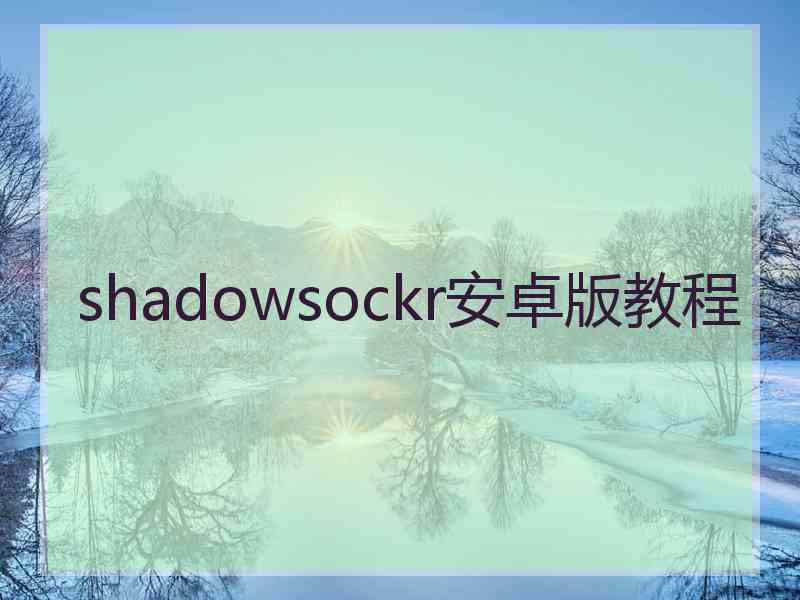 shadowsockr安卓版教程