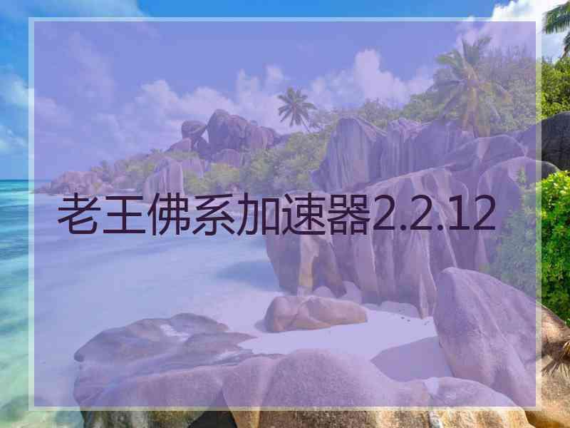 老王佛系加速器2.2.12