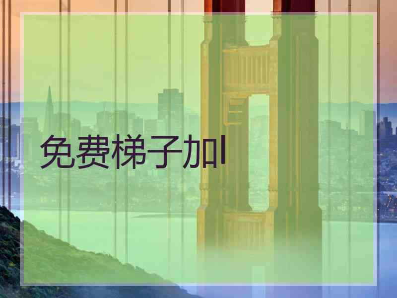 免费梯子加l