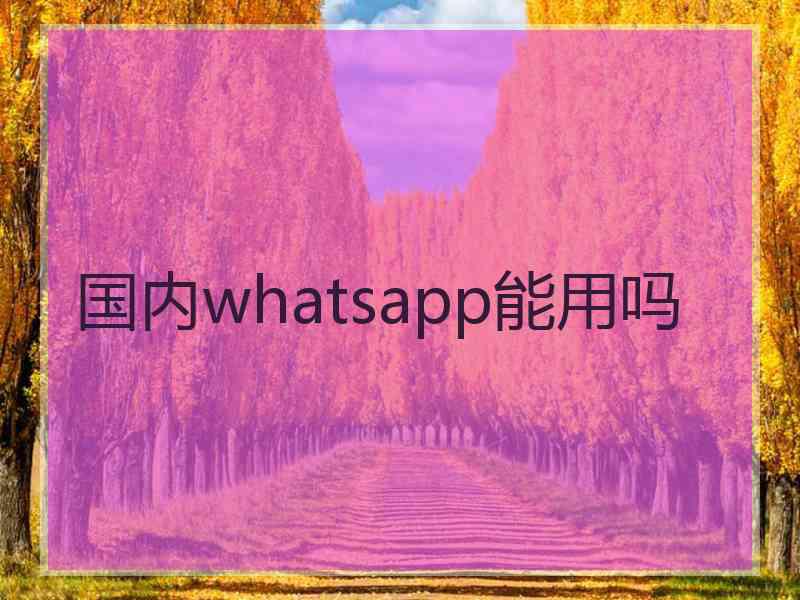 国内whatsapp能用吗