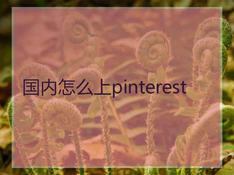 国内怎么上pinterest