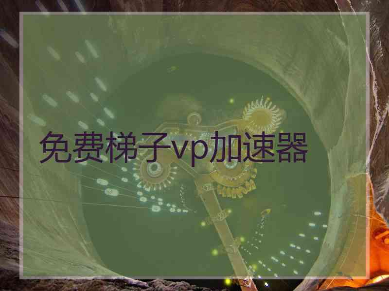 免费梯子vp加速器