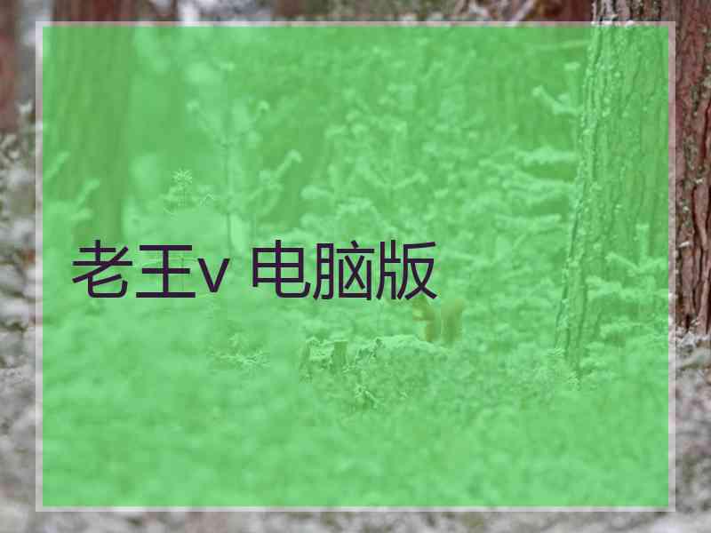 老王v 电脑版