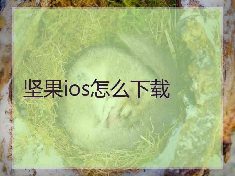 坚果ios怎么下载