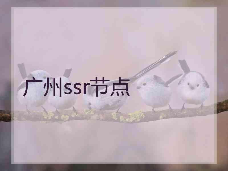 广州ssr节点