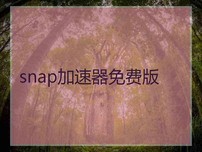 snap加速器免费版