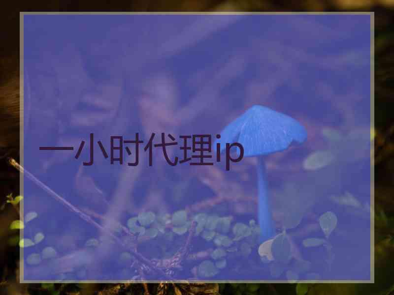 一小时代理ip