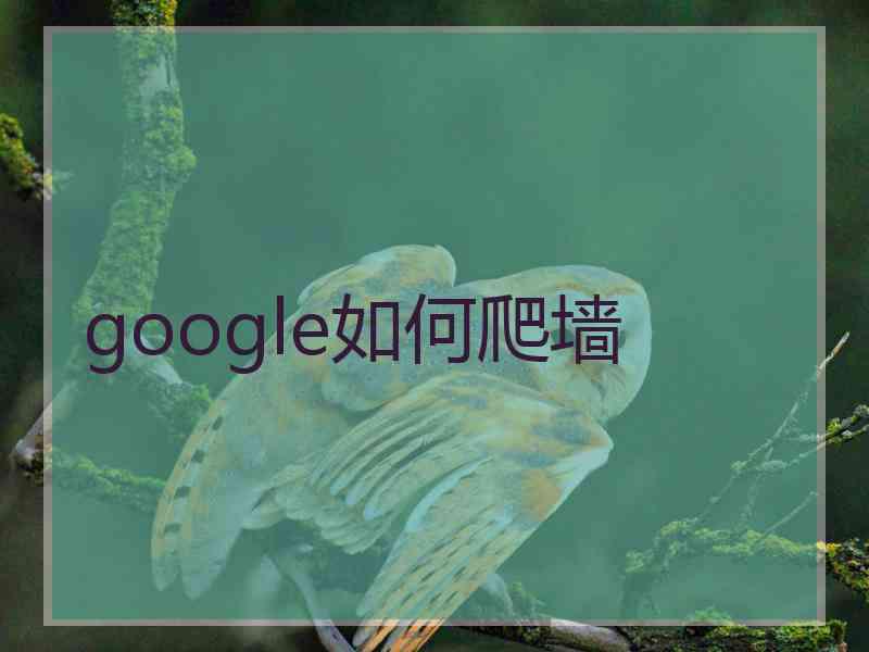 google如何爬墙