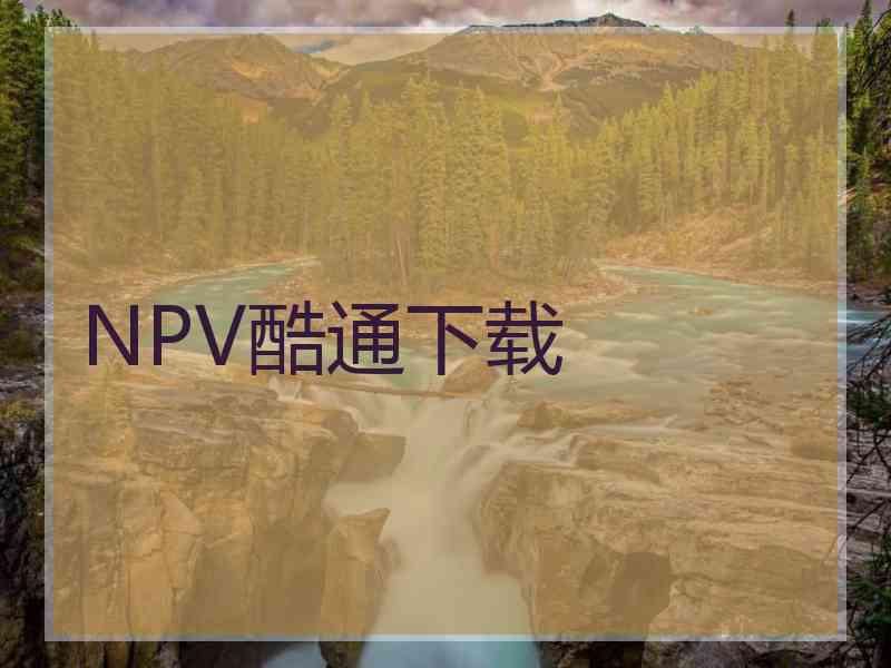 NPV酷通下载