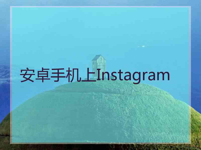 安卓手机上Instagram