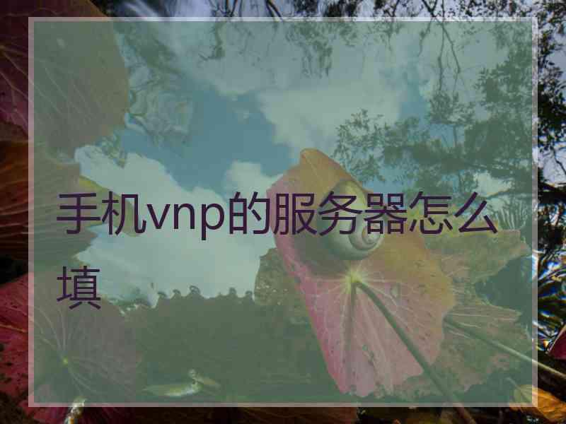 手机vnp的服务器怎么填