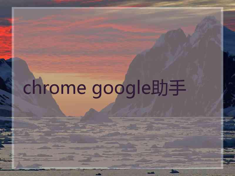 chrome google助手