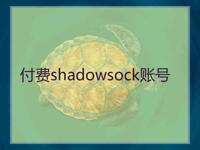 付费shadowsock账号