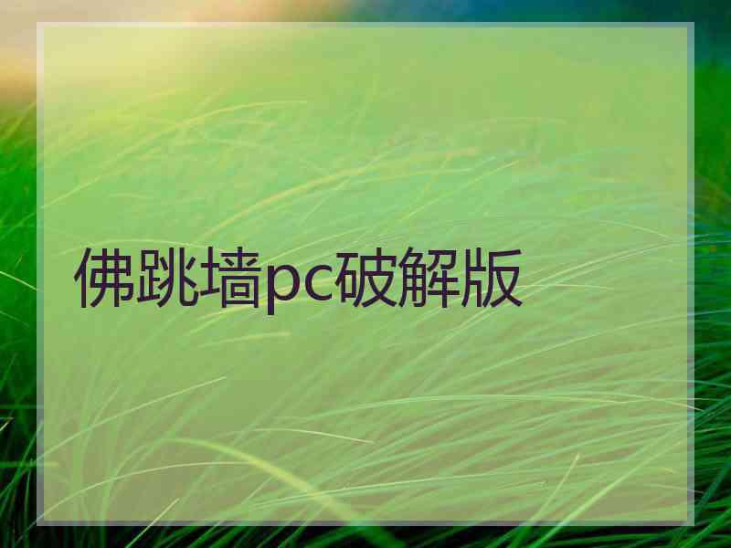 佛跳墙pc破解版