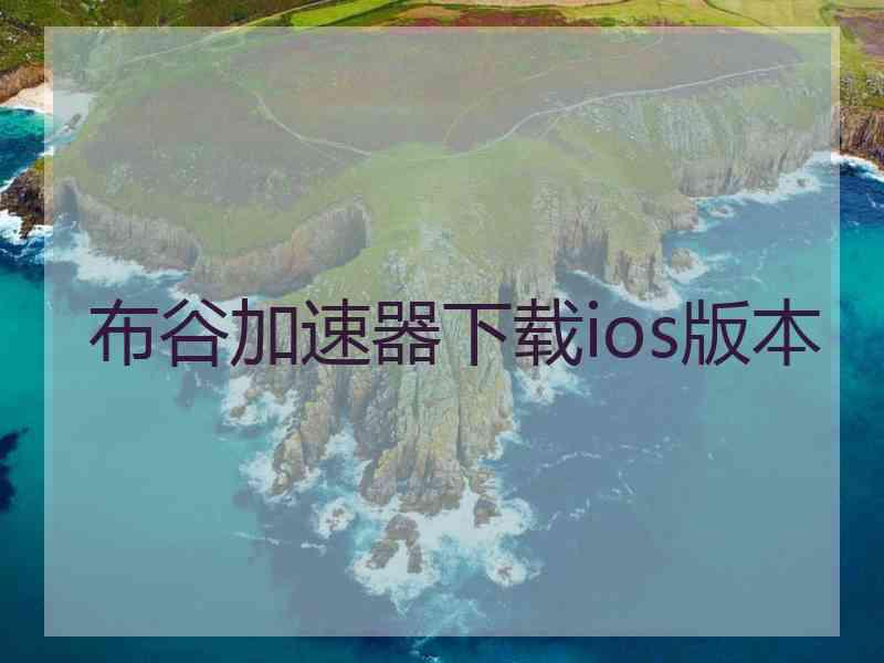 布谷加速器下载ios版本