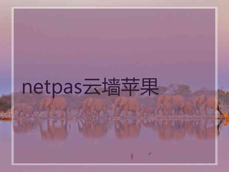 netpas云墙苹果