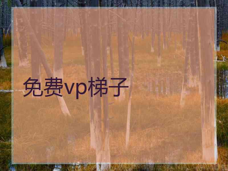 免费vp梯子