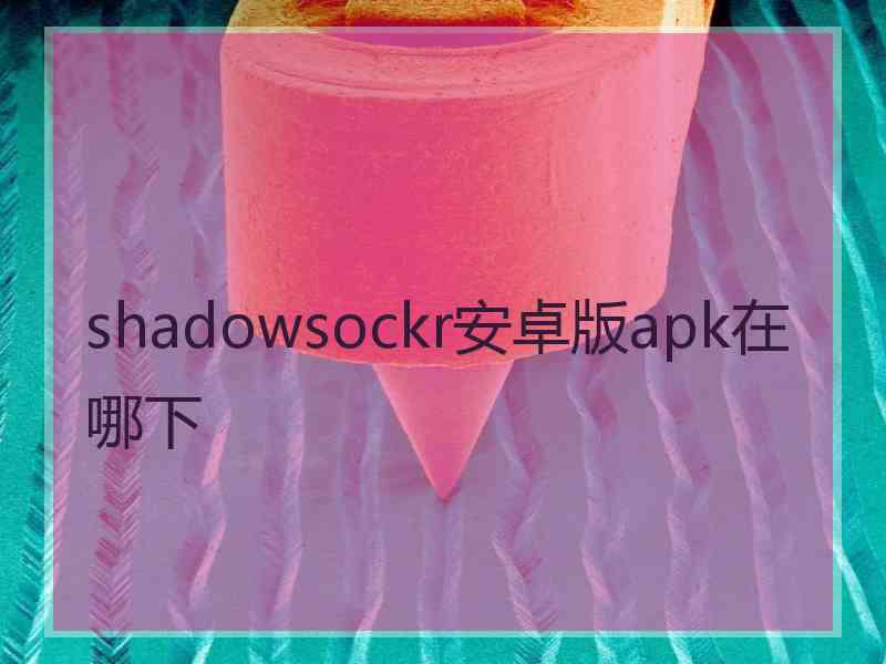 shadowsockr安卓版apk在哪下