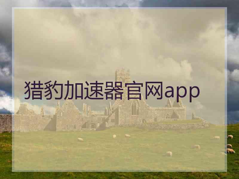 猎豹加速器官网app