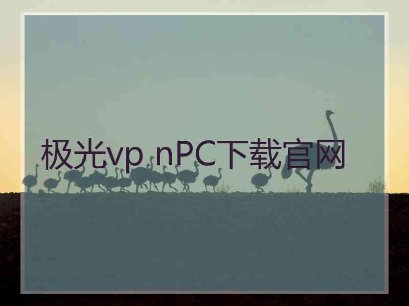 极光vp nPC下载官网