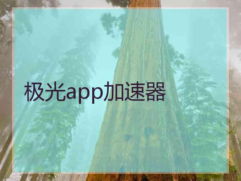 极光app加速器