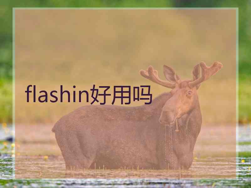 flashin好用吗