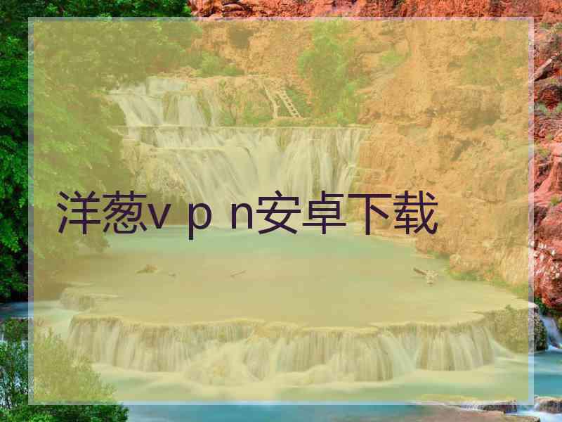 洋葱v p n安卓下载