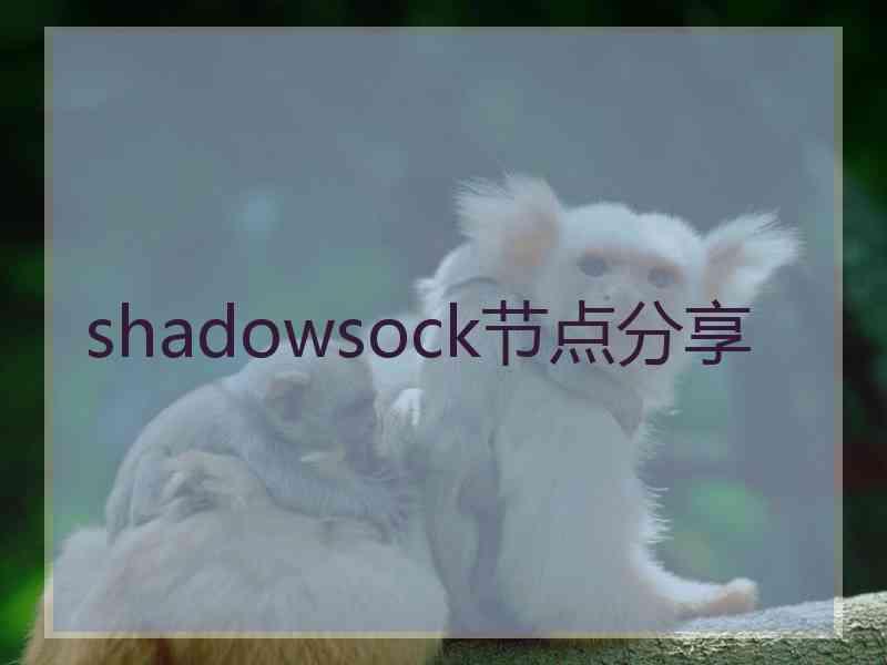 shadowsock节点分享