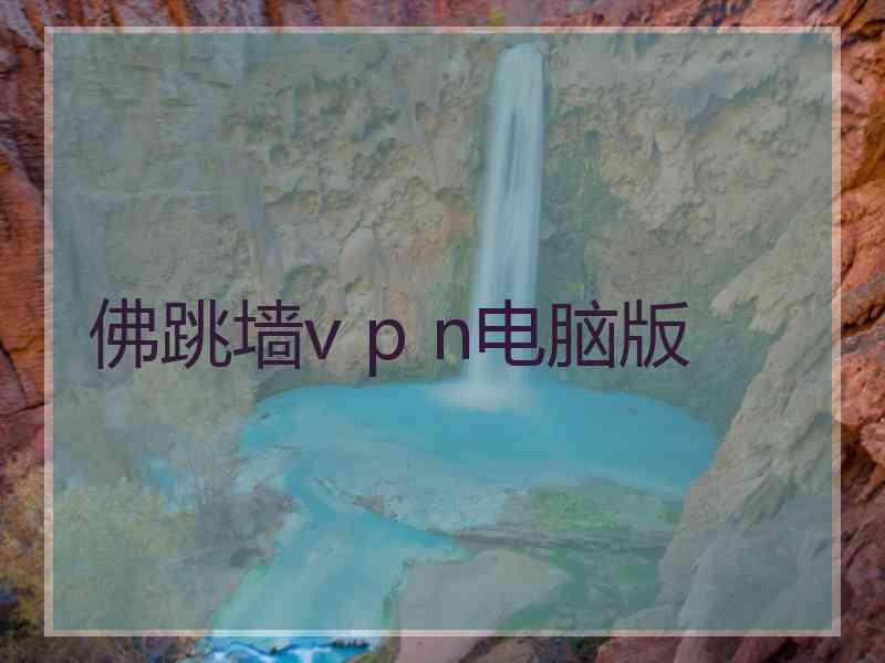 佛跳墙v p n电脑版